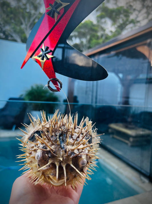 Atomic Puffer Fish