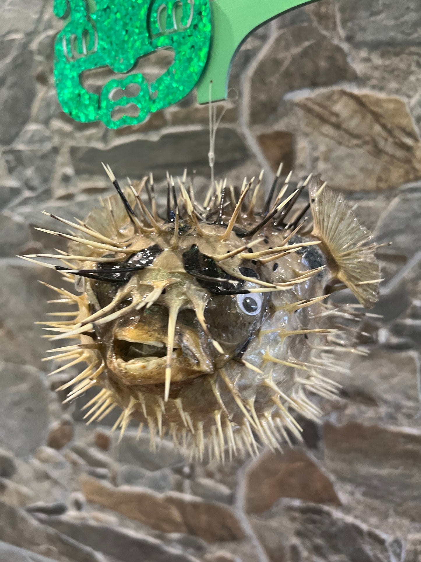 Mid-Century Modern Tiki Bar Puffer Fish Art | Tiki Sculpture | Retro Coast. Free Shipping Within Australia.
